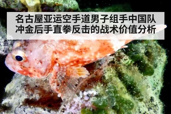名古屋亚运空手道男子组手中国队冲金后手直拳反击的战术价值分析