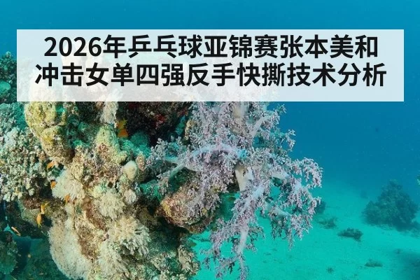 2026年乒乓球亚锦赛张本美和冲击女单四强反手快撕技术分析